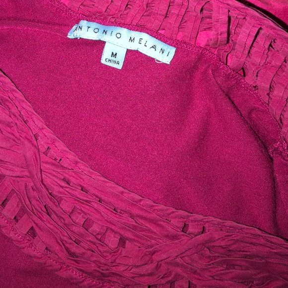Cranberry Antonio Melani Shirt Cap Sleeve - Picture 4 of 5